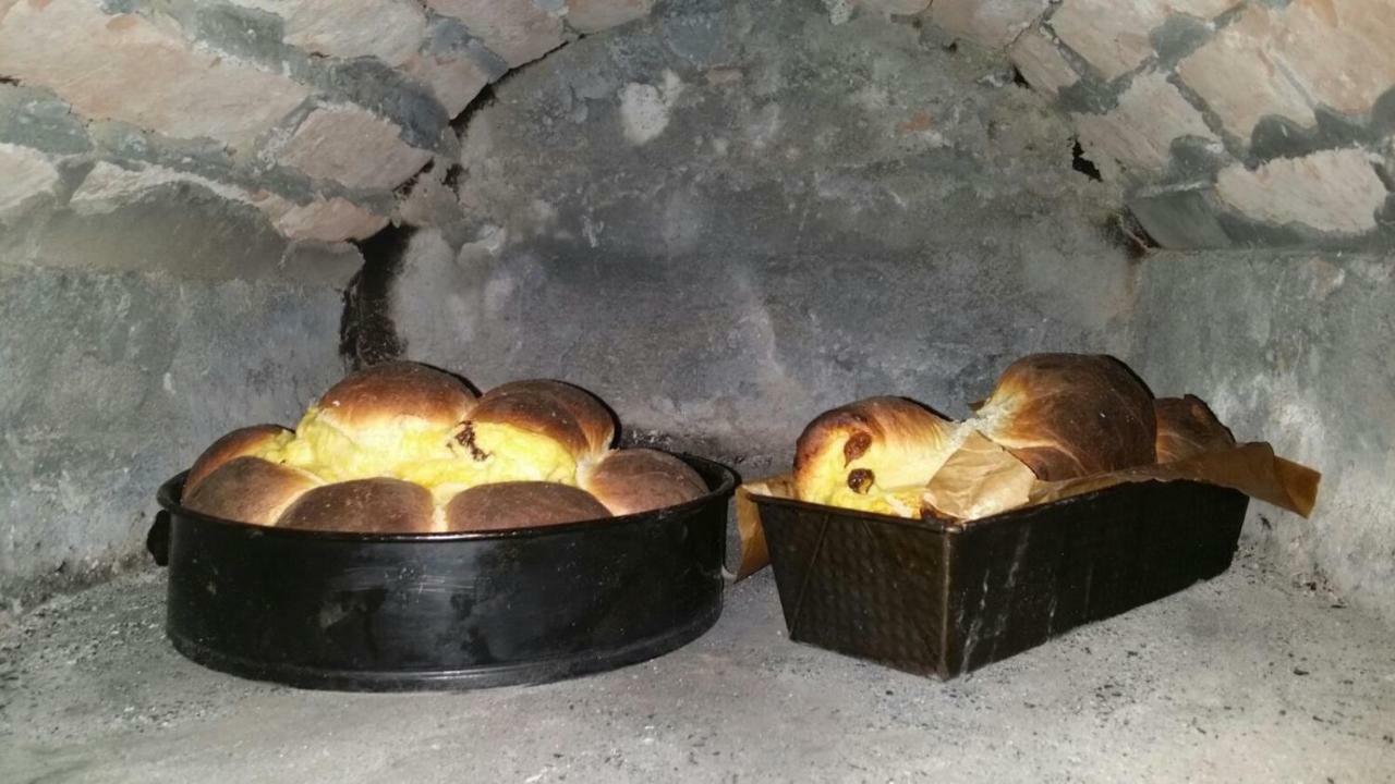 Domeniul Cris Vatra Dornei